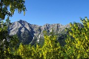 CIMA CADELLE (2483 m) dalla Baita del Camoscio il 23 giu. 2018